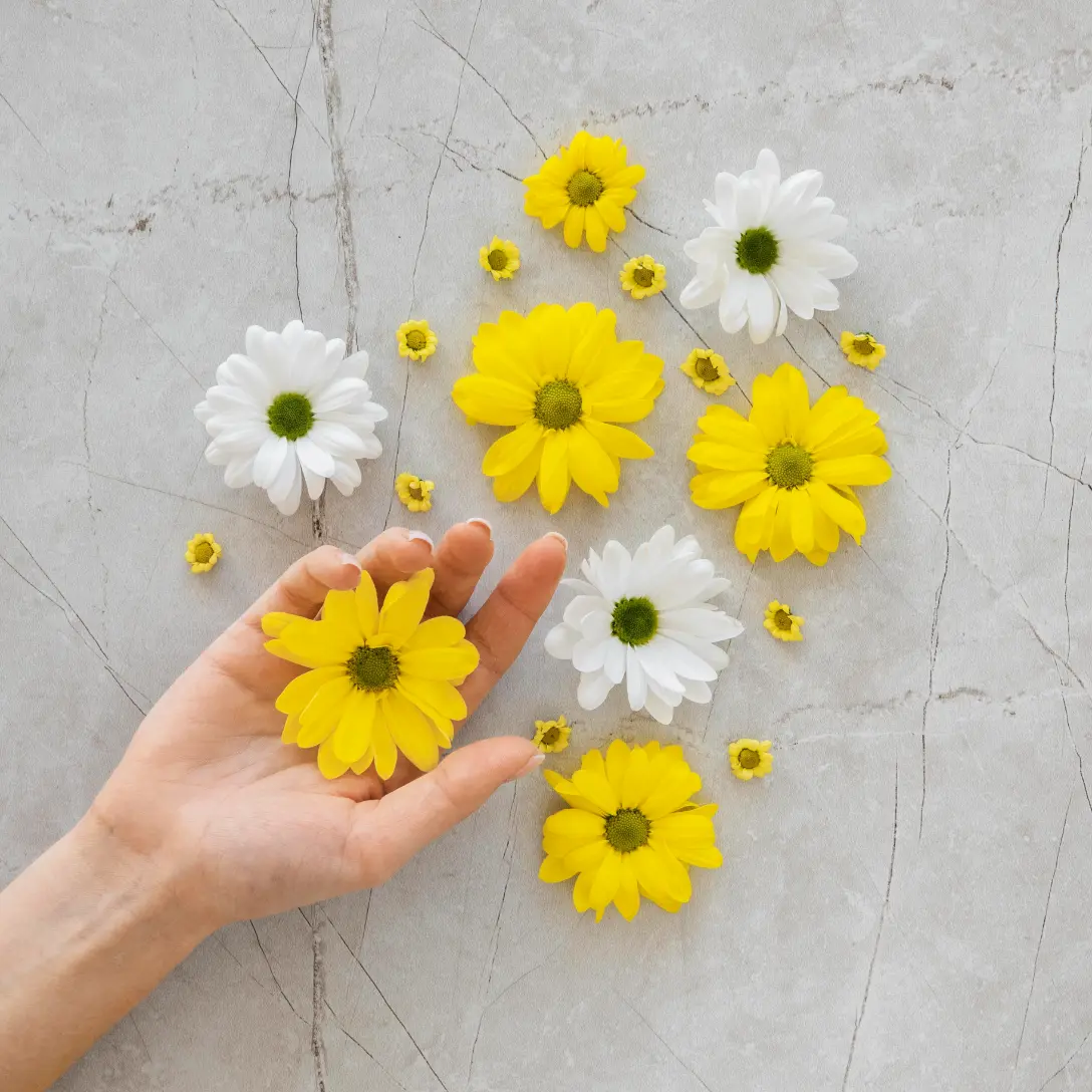 Ali ima arnika res zdravilne učinke?